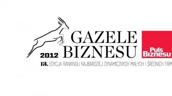 Gazele Biznesu logo